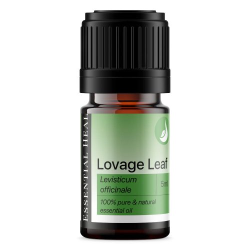 Lovage Leaf - Lestyán illóolaj