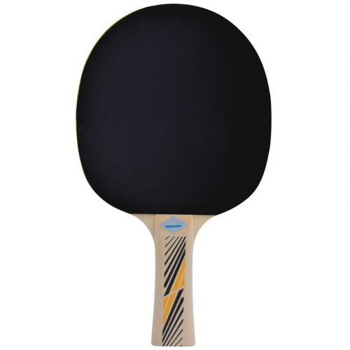 Ping-pong ütő Donic Legends 300 FSC