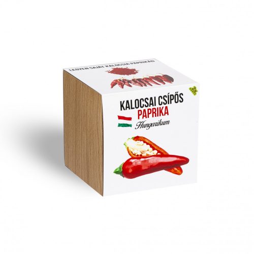 Kalocsai csípős fűszerpaprika növényem fa kockában, Kalocsai csípős fűszerpaprika növényem fa kockában