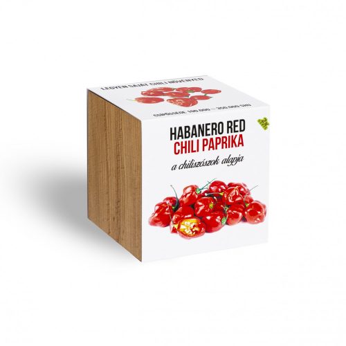 Piros habanero chili paprika növényem fa kockában, Piros habanero chili paprika növényem fa kockában