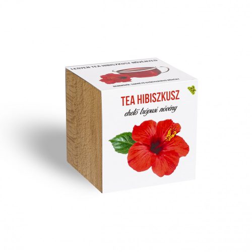 Tea Hibiszkusz növényem fa kockában, Tea Hibiszkusz növényem fa kockában