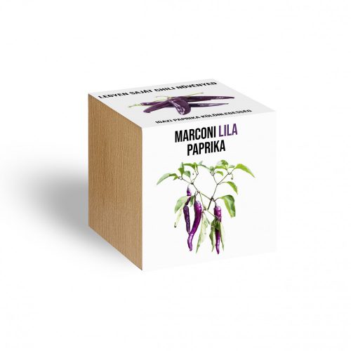 Lila marconi paprika növényem fa kockában, Lila marconi paprika növényem fa kockában