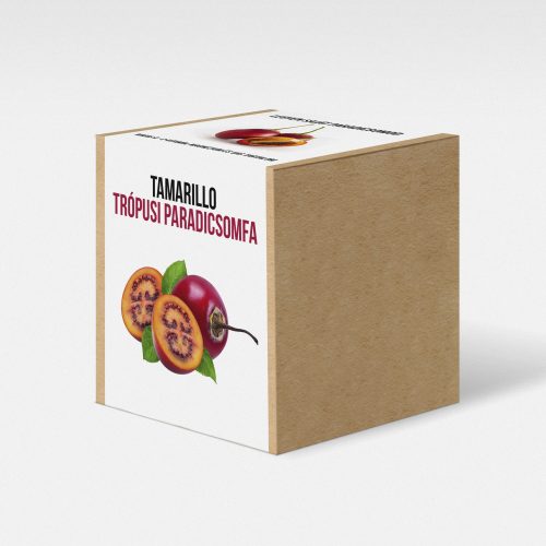 Tamarillo - Trópusi paradicsomfa növény nevelő szett, Tamarillo - Trópusi paradicsomfa növény nevelő szett